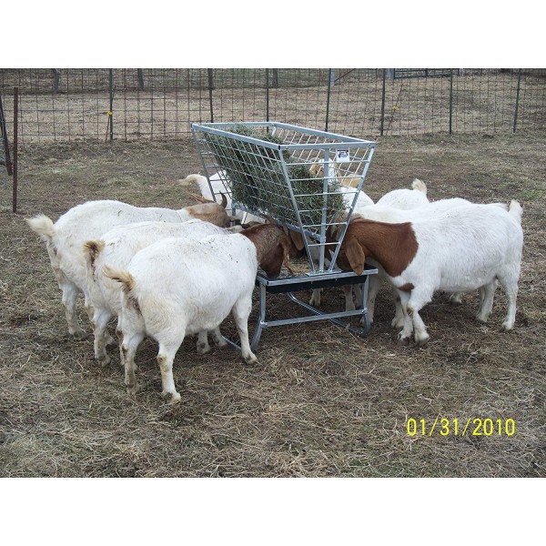 Little Giant Sheep and Goat Feeder Basic Goat and Sheep Feeder and Hay Rack (Item No. 168779)