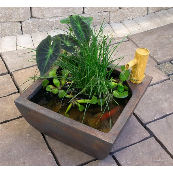 Aquascape 78197 Aquatic Patio Pond Water Garden with Bamboo Fountain, 16 Inch, Gray Slate