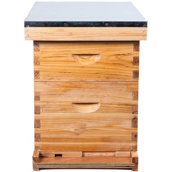 10-Frames Complete Beehive Kit, Wax Coated Bee Hive Includes Frames and Beeswax Coated Foundation Sheet (2 Layer)