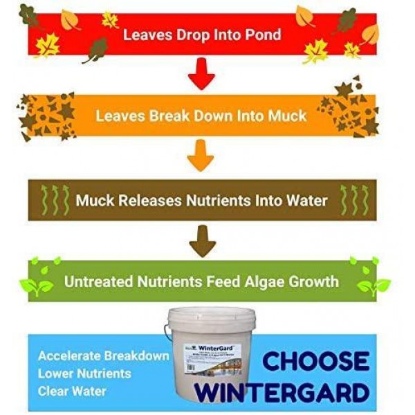 Natural Waterscapes WinterGard Cold Water Bacteria for Ponds | 10 lb Winter Pond Treatment