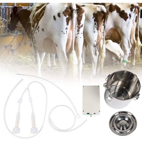 Dioche Vacuum Pump Regulator Set Electric Milking Machine, Electric System Milker, Animal Husbandry for Milking Machine(European regulations)