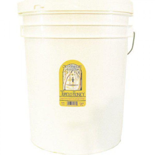 Tupelo Honey Bulk 5 Gallon Plastic Bucket - 60 lbs Premium Grade A Beekeepers Honey from Apalachicola River Basin