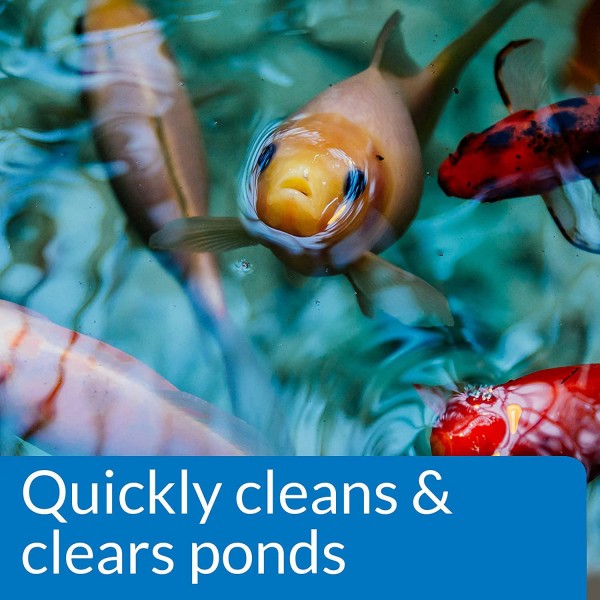 API Pond Simply Clear Bacterial Clarifier, Clears Cloudy Water and consumes Sludge Quickly, Use Every Two Weeks in Freshwater Ponds for Best Results