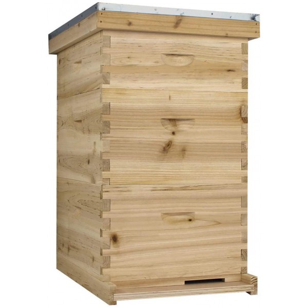 NuBee Starter 10 Frame Beehive Kit - Includes 2 Hive Bodies, 1 Super Box, Pine Frames, Wax Coated Foundations and More