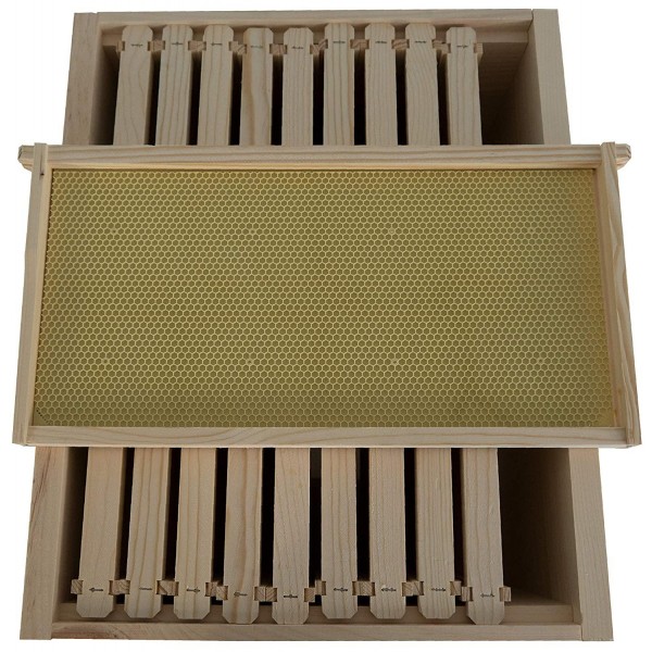 Complete Beehive Kit 10 Frame by ApiHex | 1 Deep 1 Medium Body with Wood Frames, Waxed Plastic Foundations and Hive Components - Beekeeping Honey Production (Full Beehive with Medium Super)
