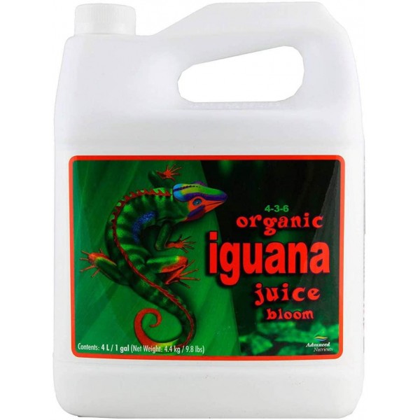 Iguana juice organic bloom