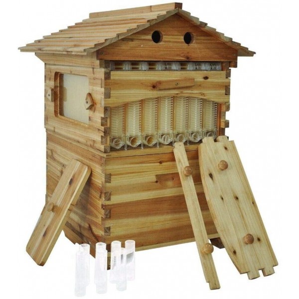 SHIJING US 7pcs Auto Honey Hive Beehive Frames + Beekeeping Brood Cedarwood Box New