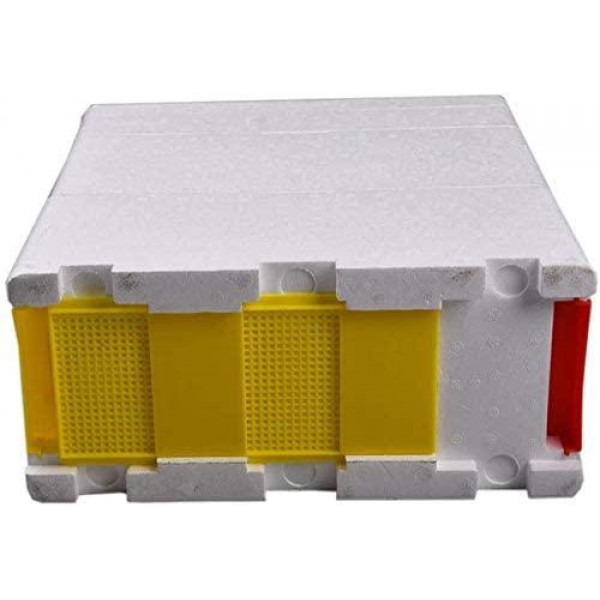 XIAOWANG Hive Case, Harvest Bee Hive Harvest Hive Pollination Beating King Box for Queen Breeding Tool Beekeeping Equipment Foam Bee