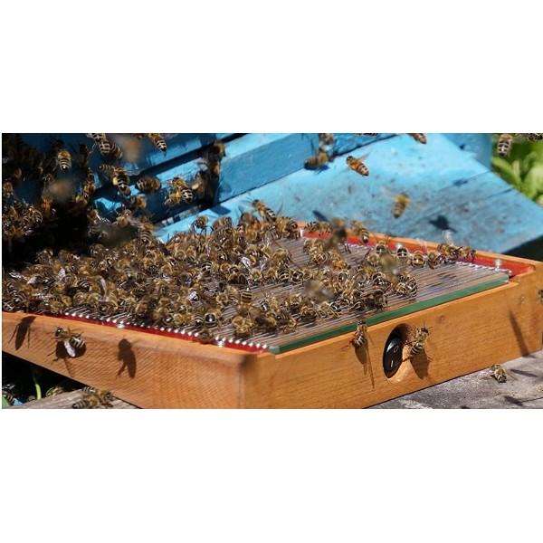 Bee Venom Collector. Beekeeping Equipment. How to Collect bee Venom. Collectors Since 1992.