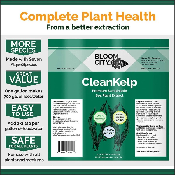 Organic Liquid Seaweed and Kelp Fertilizer Supplement by Bloom City, 5 Gallon (640 oz) Concentrated Makes 3750 Gallons