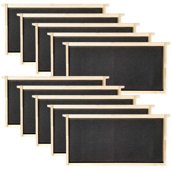 Hoover Hives - Deep Frames & Foundations (100 Pack) - Langstroth Beehive Wooden Frames, Black Food Grade Plastic Foundations Dipped in Natural Beeswax