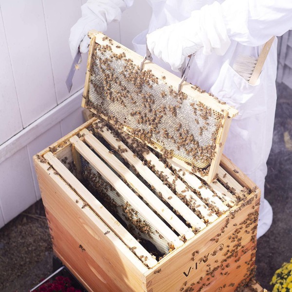 VIVO Complete Beekeeping 20 Frame Beehive Box Kit, 10 Medium, 10 Deep, Langstroth Bee Hive BEE-HV01