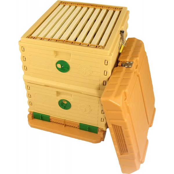 Apimaye 10 Frame Langstroth Insulated Bee Hive Set with Plastic Handy Frames