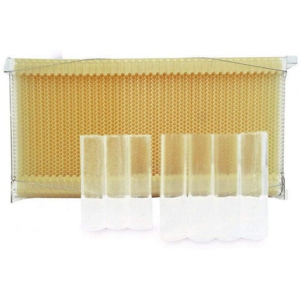 4/6Pcs Auto Flow Honey Hive Beehive Frames Honey Harvesting Tubes Kit Beekeeping Supplies Equipment Tool with 4/6 Harvest Tubes and 1 Stainless Steel Key Tool to Open Frames for Farm Beekeepers (6)