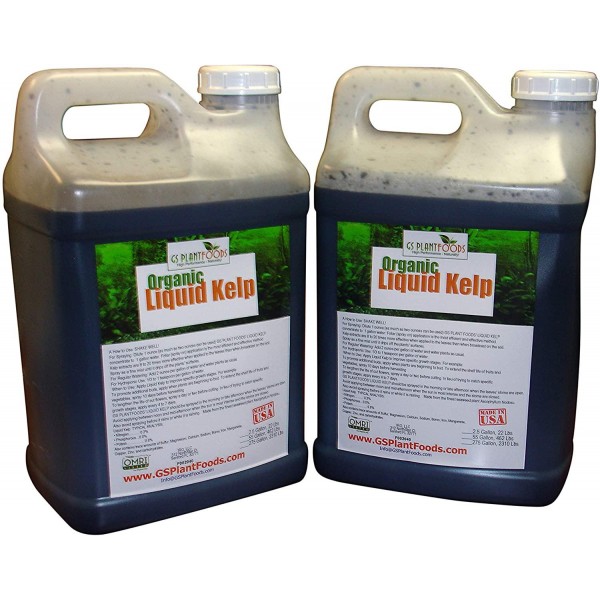 GS Plant Foods Organic Liquid Kelp Plant Fertilizer (5 Gallon) | Omri Organic Listed Seaweed & Kelp Fertilizer Solution | Kelp Seaweed Plant & Vegetable Growth Concentrate for Gardens, Lawns & Soil