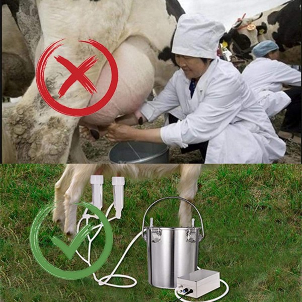 isilky 2L Electric Milking Machine Portable Vacuum-Pulse Pump Cow Milking Device Stainless Steel Milker Bucket Tank Barrel Food Grade Hose for Sheep Cows Goat US Plug 110-240V