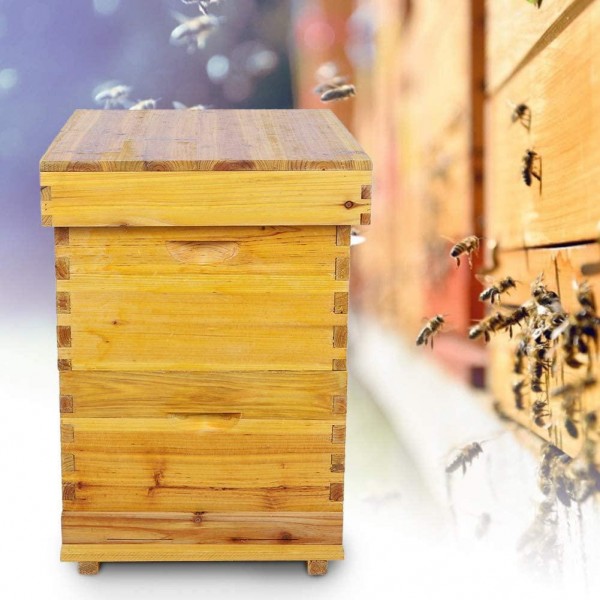 Focket Honey Keeper Beehive, 10 Frame Cedar Wood Waterproof Honey Super Brood Beehive Box Moisture-Proof Bee Hive House Deluxe Bee Hive Starter Kit Beekeeping Supplies, Insect Proof for Beekeepers