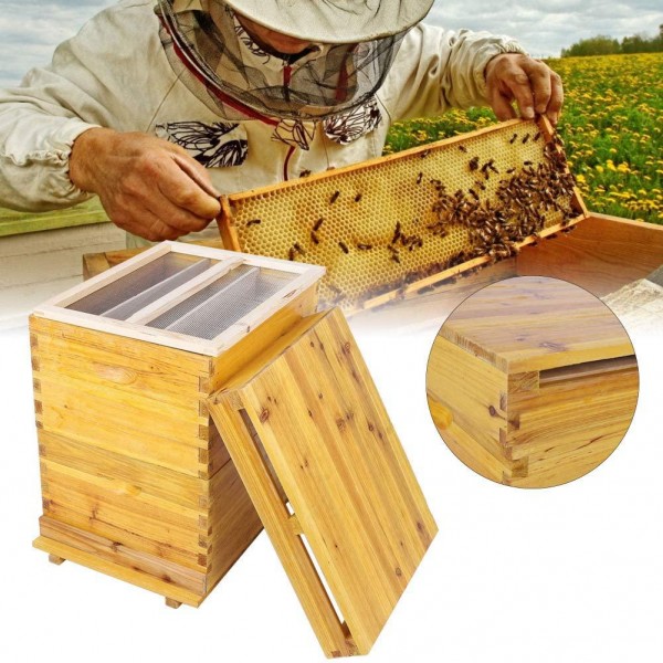 Focket Honey Keeper Beehive, 10 Frame Cedar Wood Waterproof Honey Super Brood Beehive Box Moisture-Proof Bee Hive House Deluxe Bee Hive Starter Kit Beekeeping Supplies, Insect Proof for Beekeepers