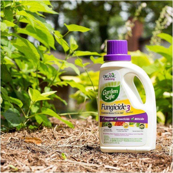 Garden Safe Brand Fungicide3 Concentrate, 20-Ounce, 6-pack