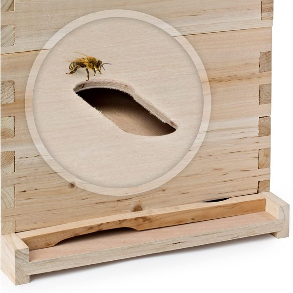 Honey Keeper Beehive 20 Frame Complete Box Kit (10 Deep and 10 Medium) with Metal Roof for Langstroth Beekeeping