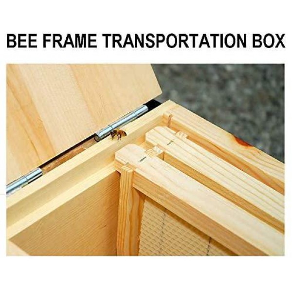 REGIVA Beekeeper Tools Box - 7pcs Beekeeping Supplies - Beekeeping Wooden Toolbox Kit - Bee hive Nuc Transportation Box - Bee Box - Beehive Frames - Bee Supplies - Bee Smoker - Bee Hive Tools -