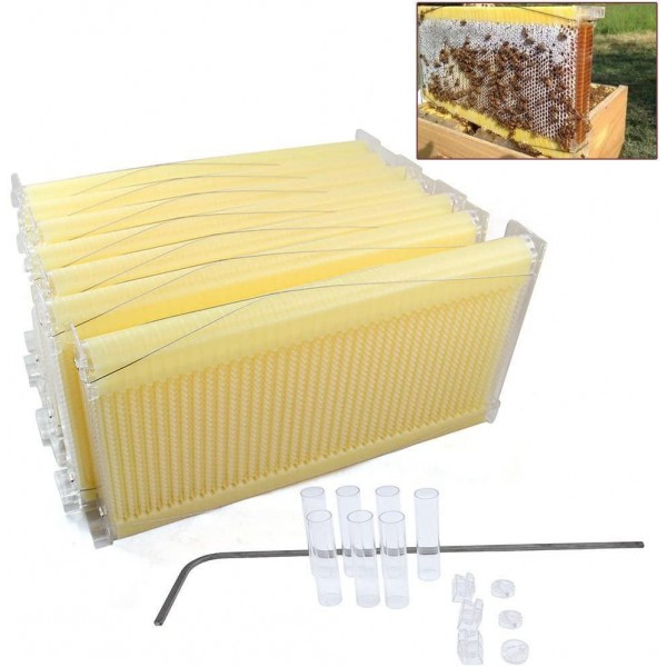TFCFL 7X Auto Hive Frames Honey Beehive Frames Kit Beekeeping Honey Raw Harvesting Upgraded (Bee Frames Only)
