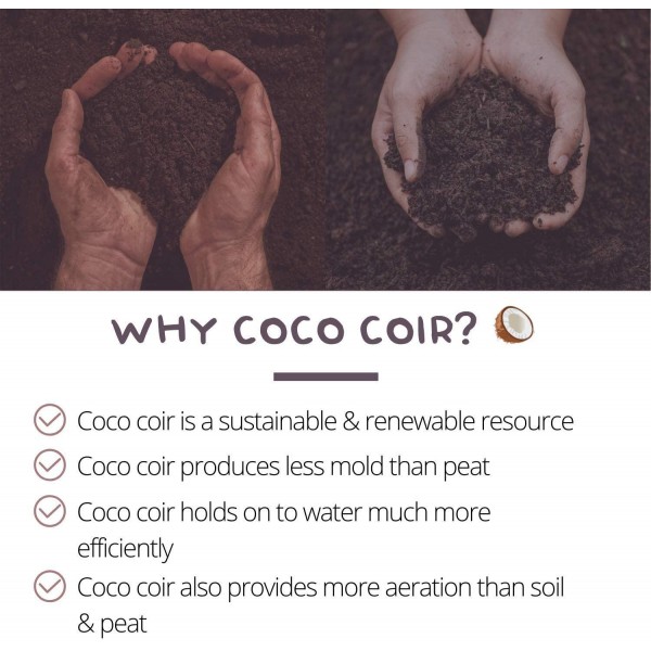 Pure Coconut Coir Netted Seed Starting Pellets - 42mm - Pack of 1000 - Sustainable, Renewable, Unamended - Superior to Peat Plugs - High Water Holding - Minimize Root Loss & Transplant Shock