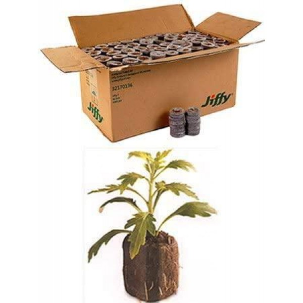 1000 Count (Full Case) - Jiffy 7 Peat Pellets - Seed Starter Soil Plugs - 36 mm - Start Seedlings Indoors - Easy To Transplant to Garden