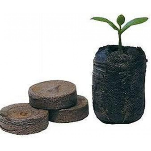 1000 Count (Full Case) - Jiffy 7 Peat Pellets - Seed Starter Soil Plugs - 36 mm - Start Seedlings Indoors - Easy To Transplant to Garden