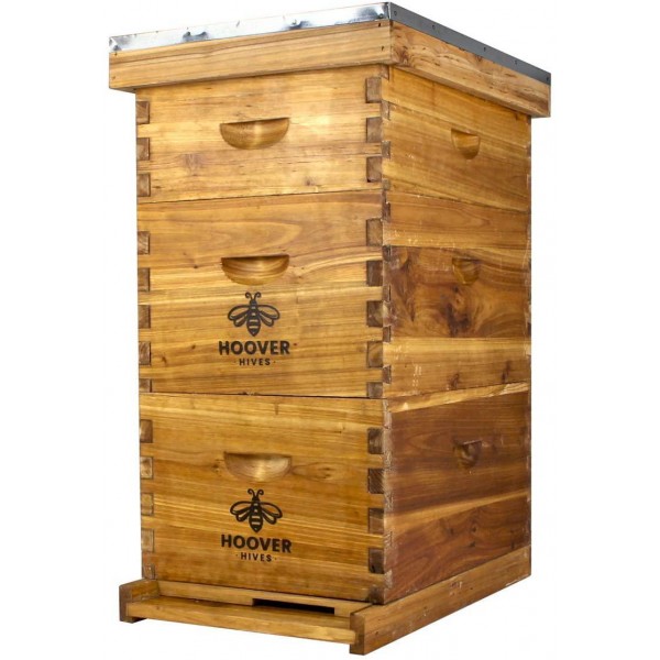 Hoover Hives 8 Frame Langstroth Beehive Dipped in 100% Beeswax Includes Wooden Frames & Waxed Foundations (2 Deep Boxes, 1 Medium Box)