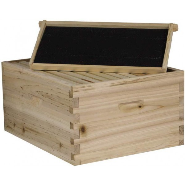 NuBee Starter 10 Frame Beehive Kit - Includes 1 Hive Body, 1 Super Box, Pine Frames, Wax Coated Foundations and More