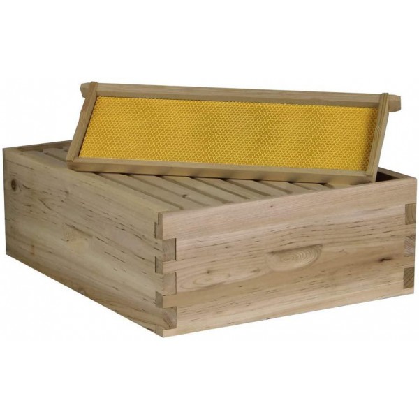 NuBee Starter 10 Frame Beehive Kit - Includes 2 Hive Bodies, 1 Super Box, Pine Frames, Wax Coated Foundations and More