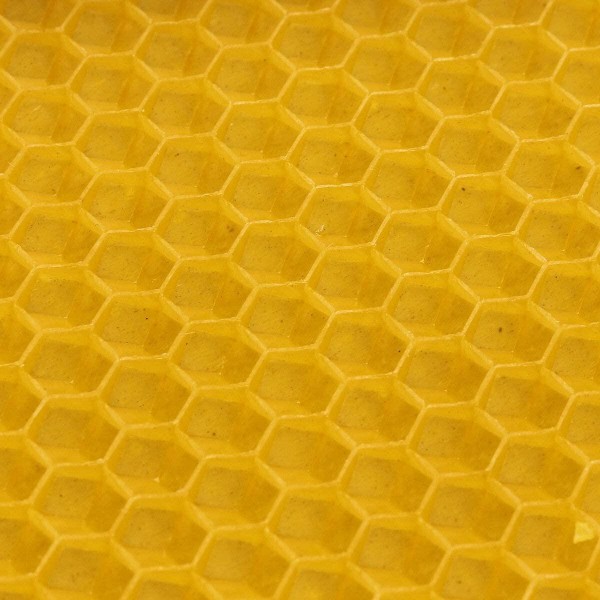 30Pcs Beehive Brood Box Wired Wax Foundation Honeycomb Sheets Beekeeping Tools