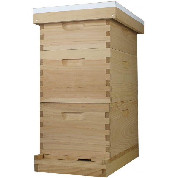 Amish Made in USA Complete 8 Frame Langstroth Bee Hive includes Frames and Foundations (2 Deep, 1 Medium)