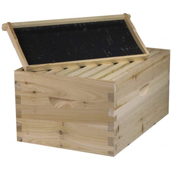 Starter Bee Hive with Frames & Wax Coated Foundations (NU8-1D1M)