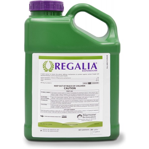 Marrone Bio Innovations Regalia Biofungicide Fungicide inhibits fungal and Bacterial Disease Boosting Yield, 0-Day PHI, 4 Hour REI, OMRI Listed (1 Gallon)