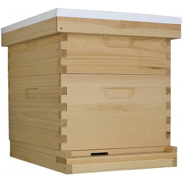 Amish Made in USA Starter Bee Hive Complete for Honey with Frames and Foundations 10 Frame