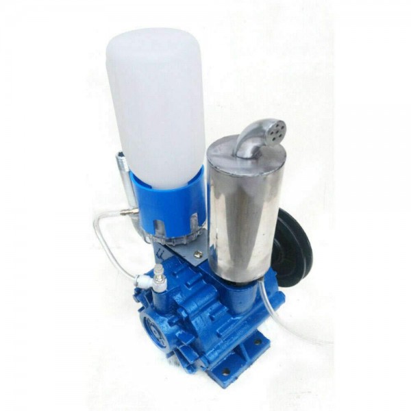 Milking Machine Vacuum Pump, A New Type of Vacuum Pump Milking Machine, 250L/Min Mechanized Milking Vacuum Pump Suitable for Dairy Cows