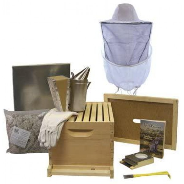 Easy Beehive Starter Kit - Single Bee Hives for Beginners and Pros and All The Beekeeping Supplies You Need, 8 Frames