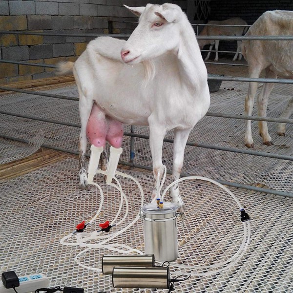 QHWJ Electric Goat Sheep Cow Milking Machine Kit with Vacuum Pump,2L Milk Bucket,2 Milk Lining,Milking Hose,for Goats